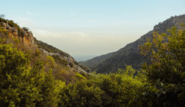 Amics Amigues Unió de Pagesos Parcs Naturals